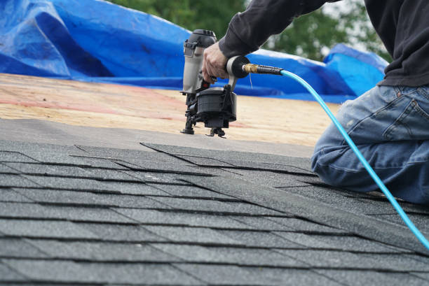 Best Roof Ventilation Installation  in Ypsilanti, MI