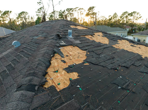 Best Rubber Roofing (EPDM, TPO)  in Ypsilanti, MI