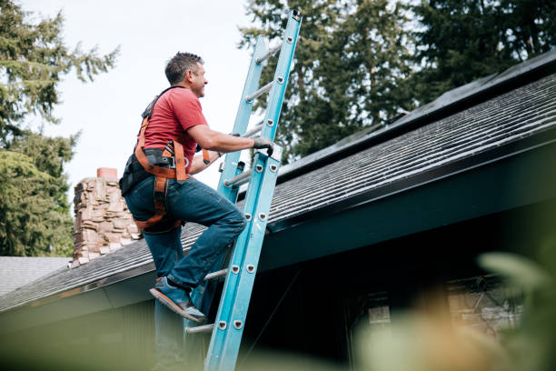 Best Roof Insulation Installation  in Ypsilanti, MI