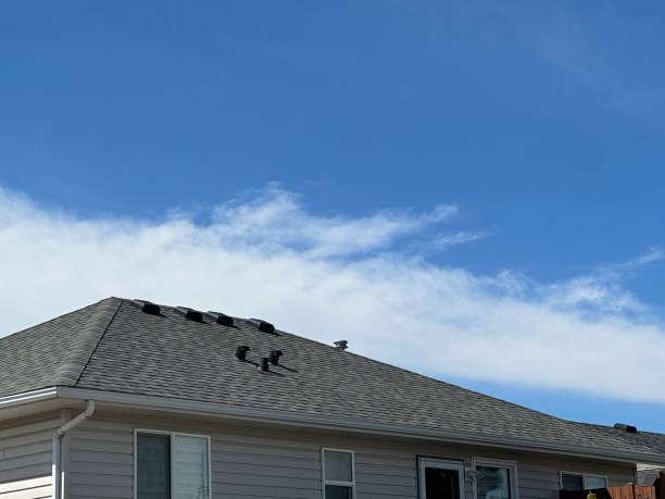 Best Roof Leak Repair  in Ypsilanti, MI